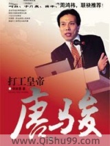 打工皇帝唐骏小说