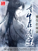 重生在南宋小说