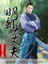 明朝大丈夫小说