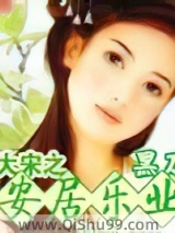 大宋之安居乐业小说