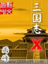 三国志X小说