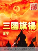 三國旗楊小说