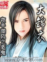 大锦衣小说