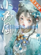 娇养王府痴妾小说