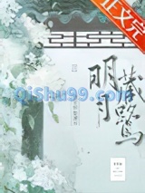 明月藏鹭小说