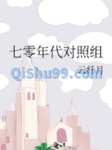 七零年代对照组小说