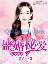 权少追妻，盛婚秘爱小说