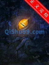 强者是怎样炼成的小说