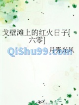 戈壁滩上的红火日子[六零]小说