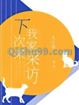 下次来我家采访小说