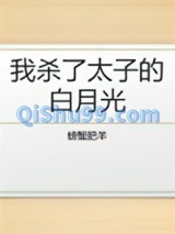 我杀了太子的白月光小说