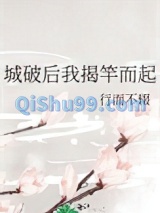 城破后我揭竿而起小说