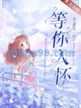 等你入怀小说