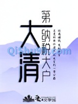 大清第一纳税大户小说