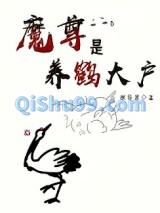 魔尊是养鹤大户小说