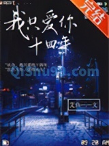 我只爱你十四年小说