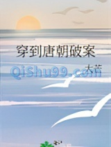 穿到唐朝破案小说