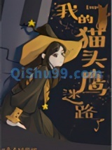 （HP同人）[HP]我的猫头鹰迷路了小说