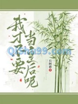 我才不要当皇后呢小说