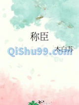 称臣小说