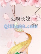 公府长媳小说