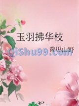 玉羽拂华枝小说