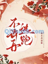 不许再逃跑小说