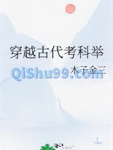 穿越古代考科举小说
