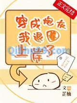 穿成炮灰我退圈上岸了小说