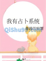 我有占卜系统小说