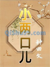 小两口儿（种田）小说