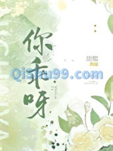 你乖呀小说