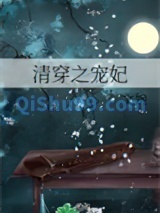 清穿之宠妃小说