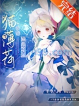 猫薄荷在星际当团宠小说