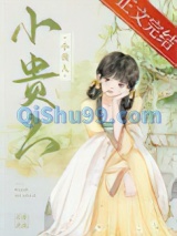 小贵人小说
