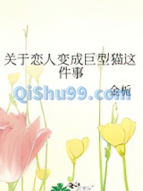 关于恋人变成巨型猫这件事小说