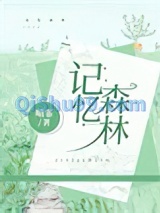 记忆森林小说