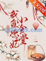 清穿之咸鱼德妃小食堂小说