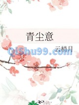青尘意小说