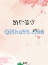 婚后偏宠小说