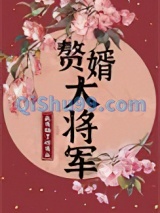 赘婿大将军小说