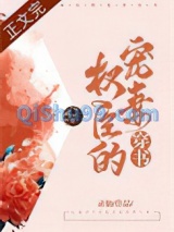 权臣的宠妻（穿书）小说