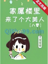 家属楼来了个大美人[八零]/大院娇美人[年代]小说