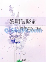 黎明破晓前小说