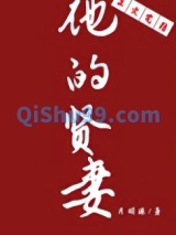 他的贤妻小说