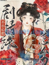 不小心把剧情线演歪了怎么办（穿书）小说