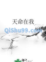 天命在我小说