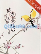 媚主丫鬟被发卖之后小说