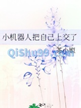 小机器人把自己上交了小说