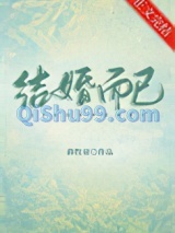 结婚而已小说